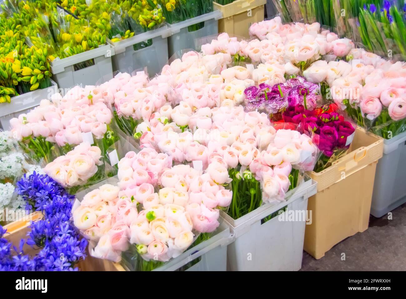 Flower shops hires stock photography and images Alamy