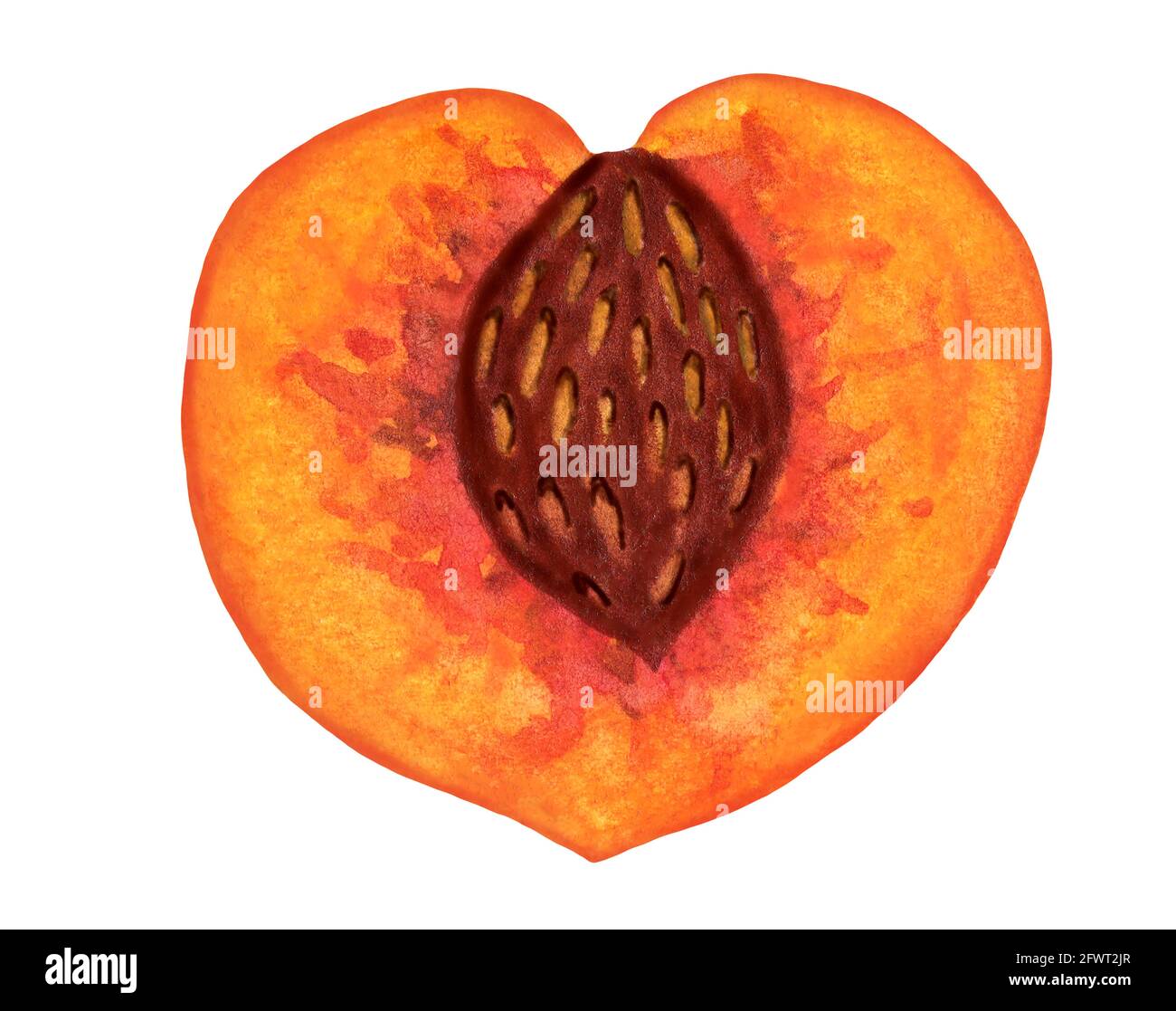 Page 3 Red Peach Pit High Resolution Stock Photography And Images Alamy Page 3 Red Peach Pit High Resolution Stock Photography And Images Alamy