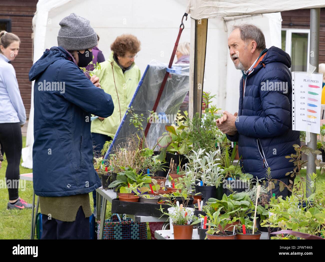 Local plant sale UK; people buying and selling plants at a stall in the village during the COVID 19 pandemic, Stetchworth, Cambridgeshire UK Stock Photo