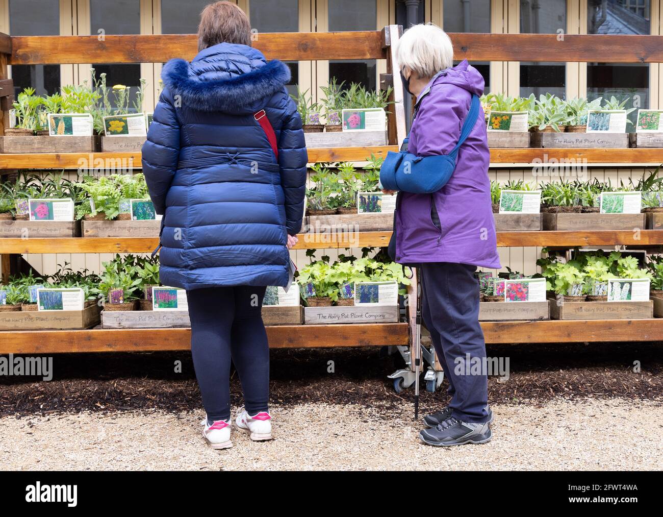 Two middle aged caucasian women buying plants at a plant stall in a nursery garden, Essex, UK Stock Photo