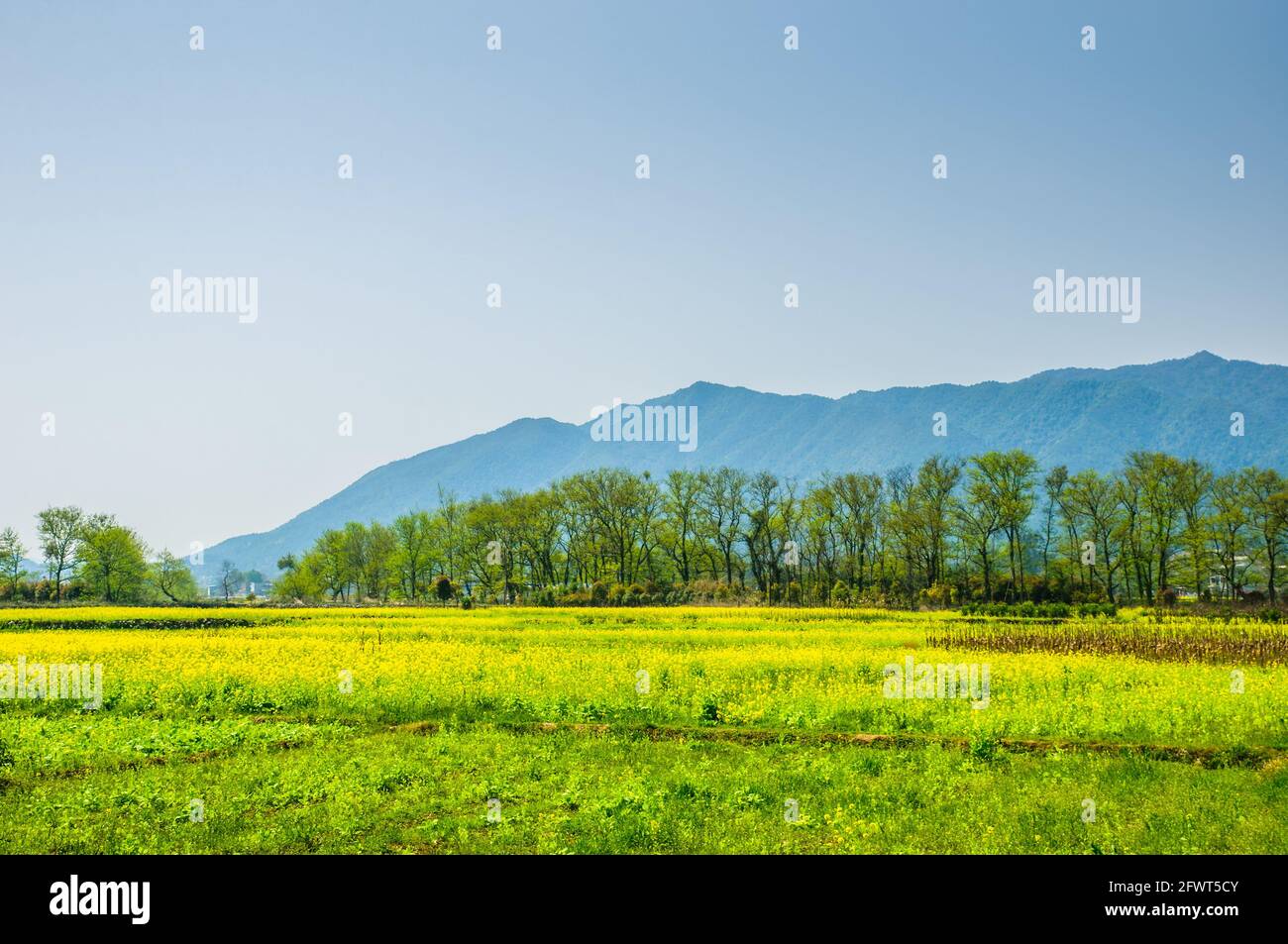 Spring scenery, Guilin, China Stock Photo - Alamy