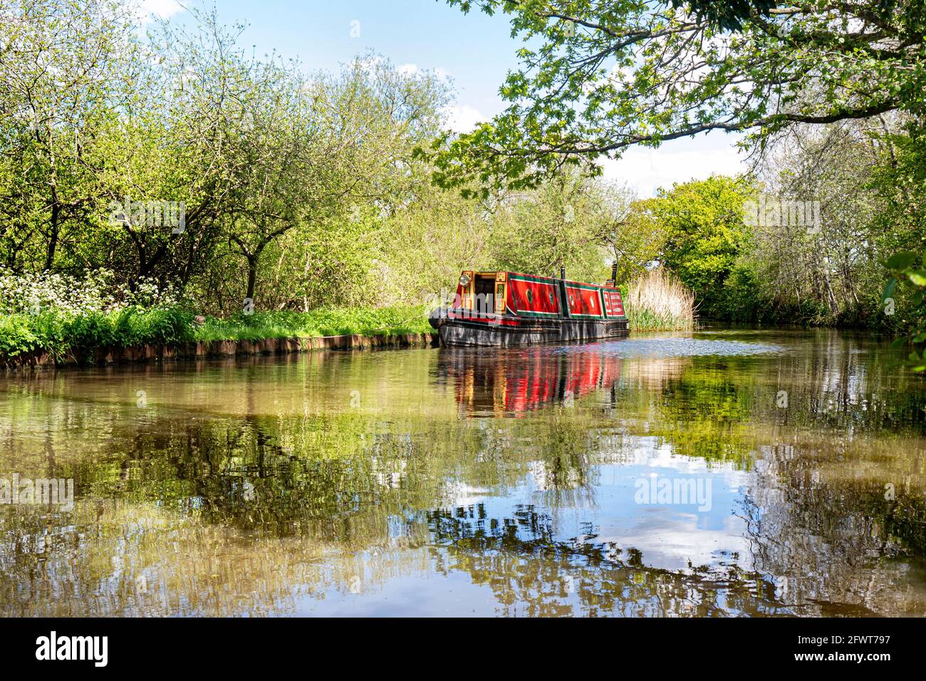 RIVER WEY Traditional Narrow Boat on The River Wey downstream from High Bridge, moored up for a staycation lunch on a still sunny spring summer day Stock Photo