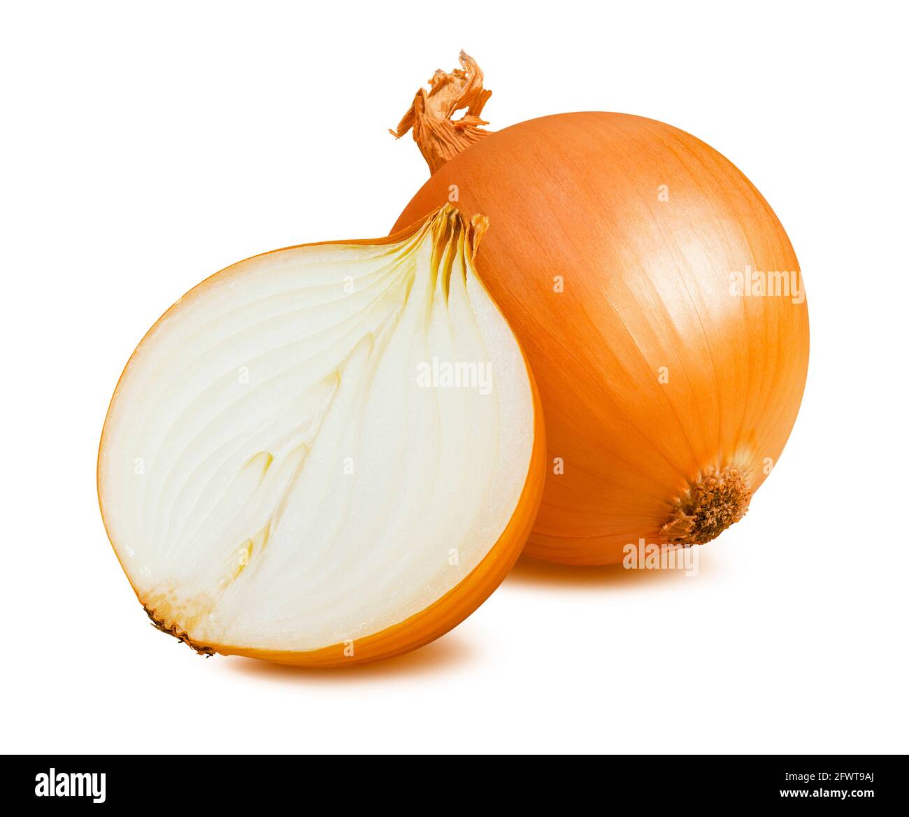 Dry Chopped Onion High Resolution Stock Photography and Images - Alamy
