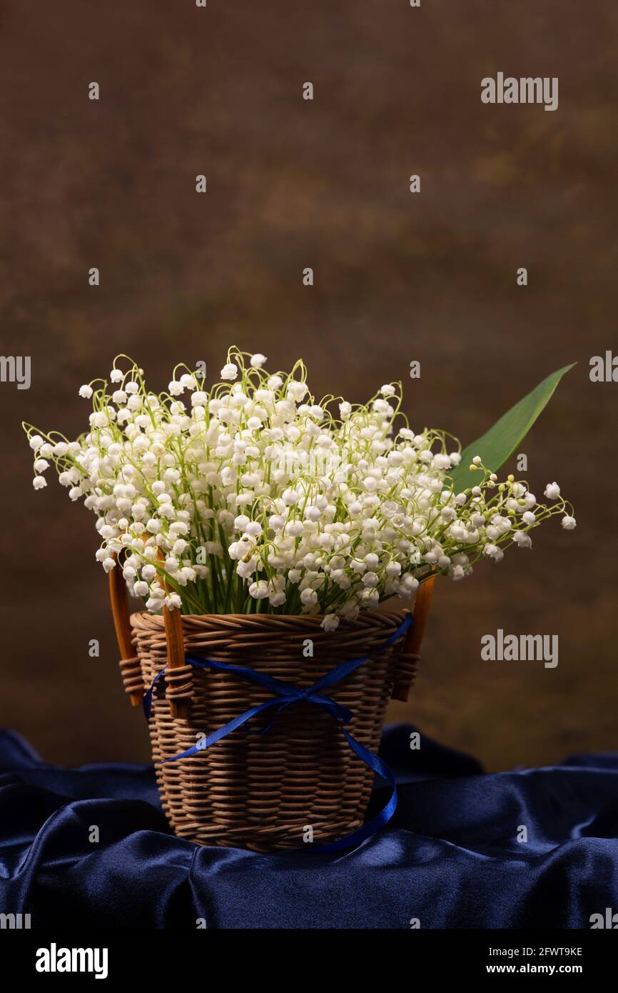Still life with a bouquet of lilies of the valley in a wicker basket ...