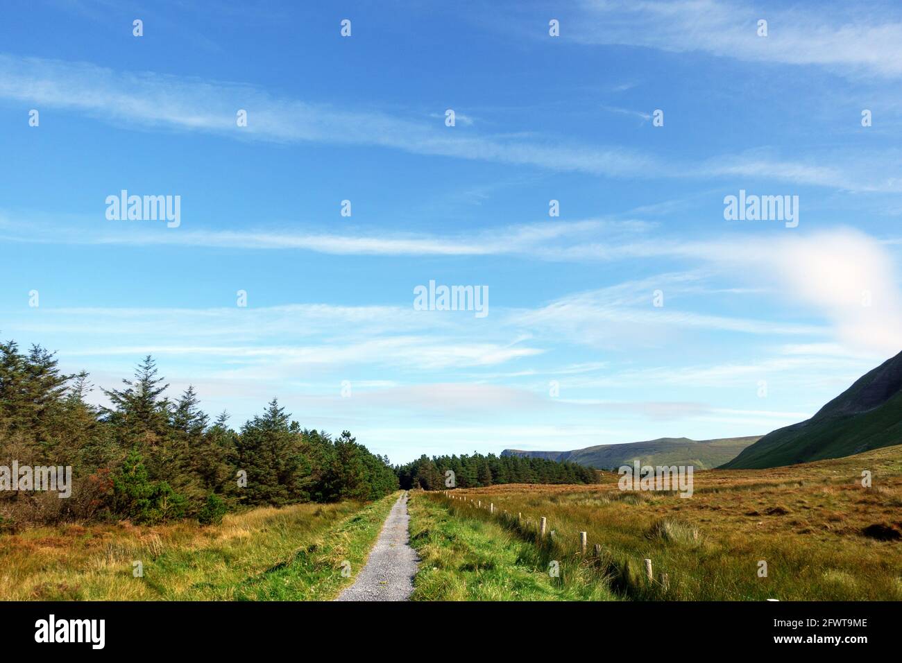 Benbulben or Ben Bulben loop walk in County Sligo, Ireland, Stock Photo