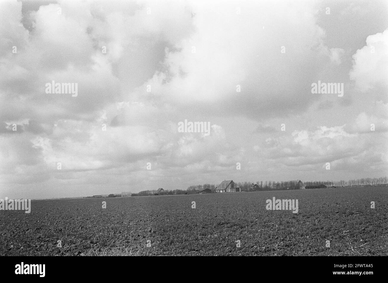 Noord Oost Polder board village of Nagele, no. 14, 15: landscape, April 17, 1969, landscapes, The Netherlands, 20th century press agency photo, news to remember, documentary, historic photography 1945-1990, visual stories, human history of the Twentieth Century, capturing moments in time Stock Photo