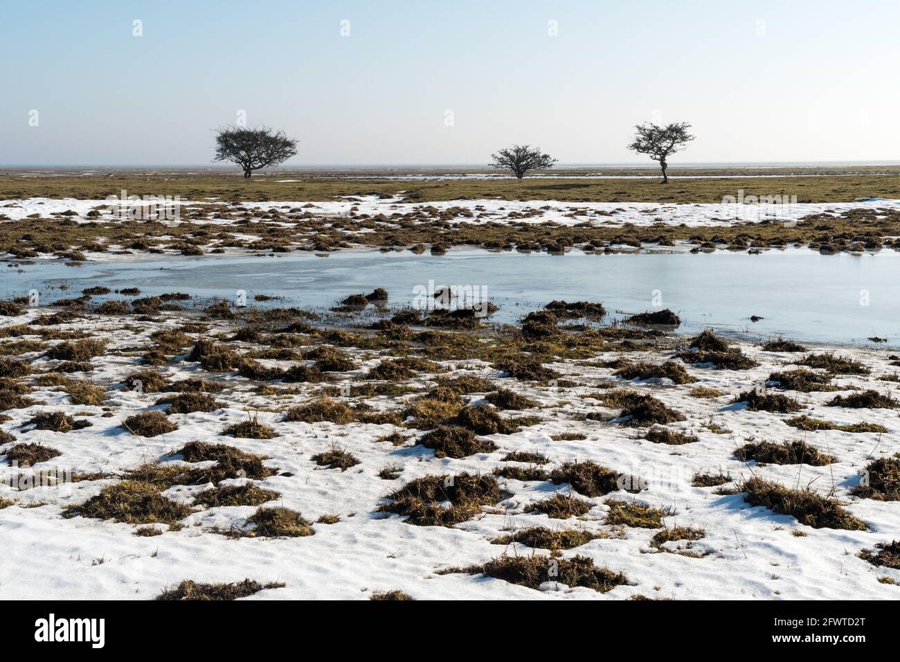 Springtime with melting snow in a great plain landscape on the island Oland in Sweden Stock Photo
