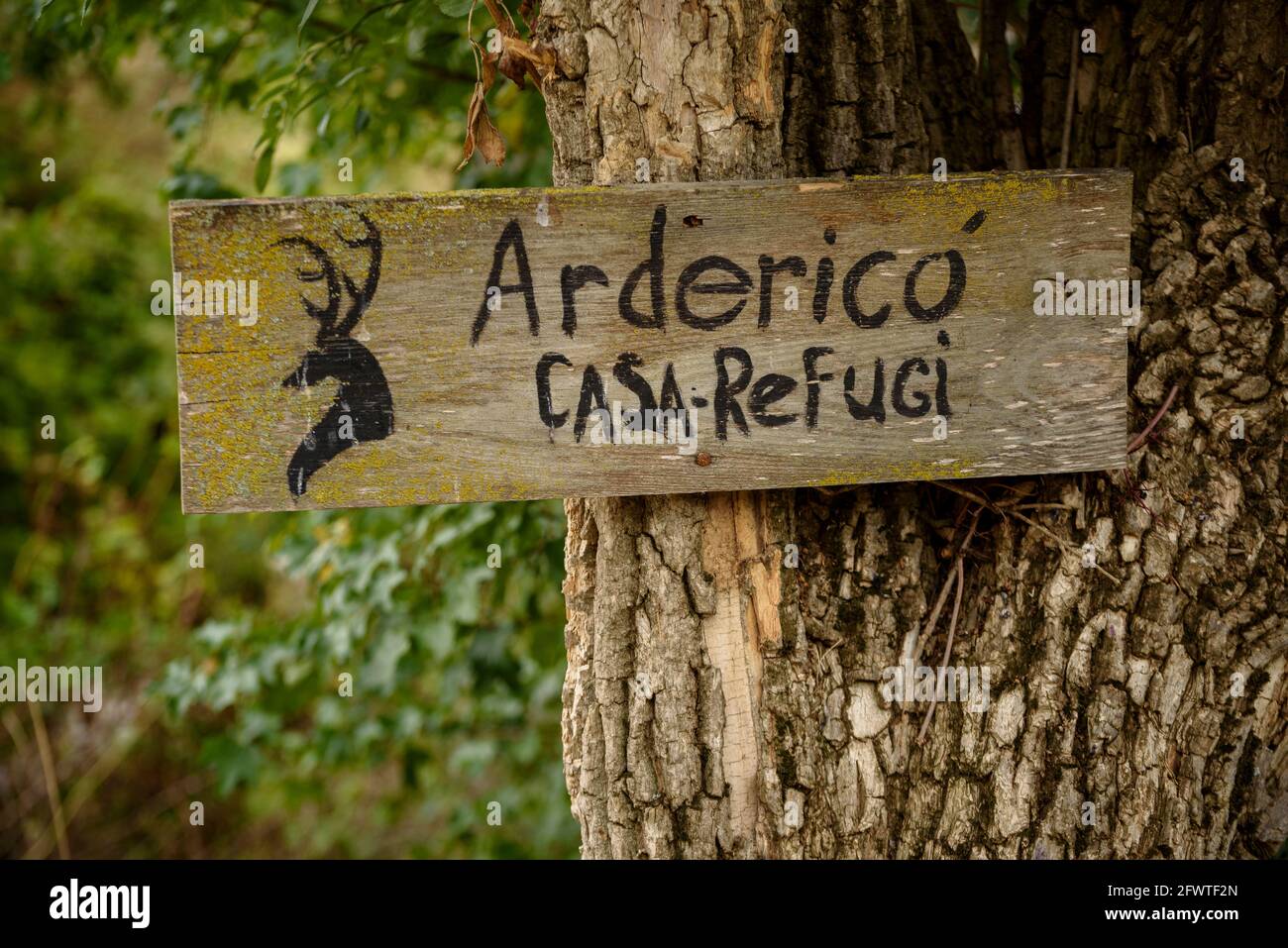 Ardericó refuge and its surroundings (Berguedà, Catalonia, Spain, Pyrenees) ESP: Entornos del refugio de Ardericó (Berguedà, Cataluña, España) Stock Photo