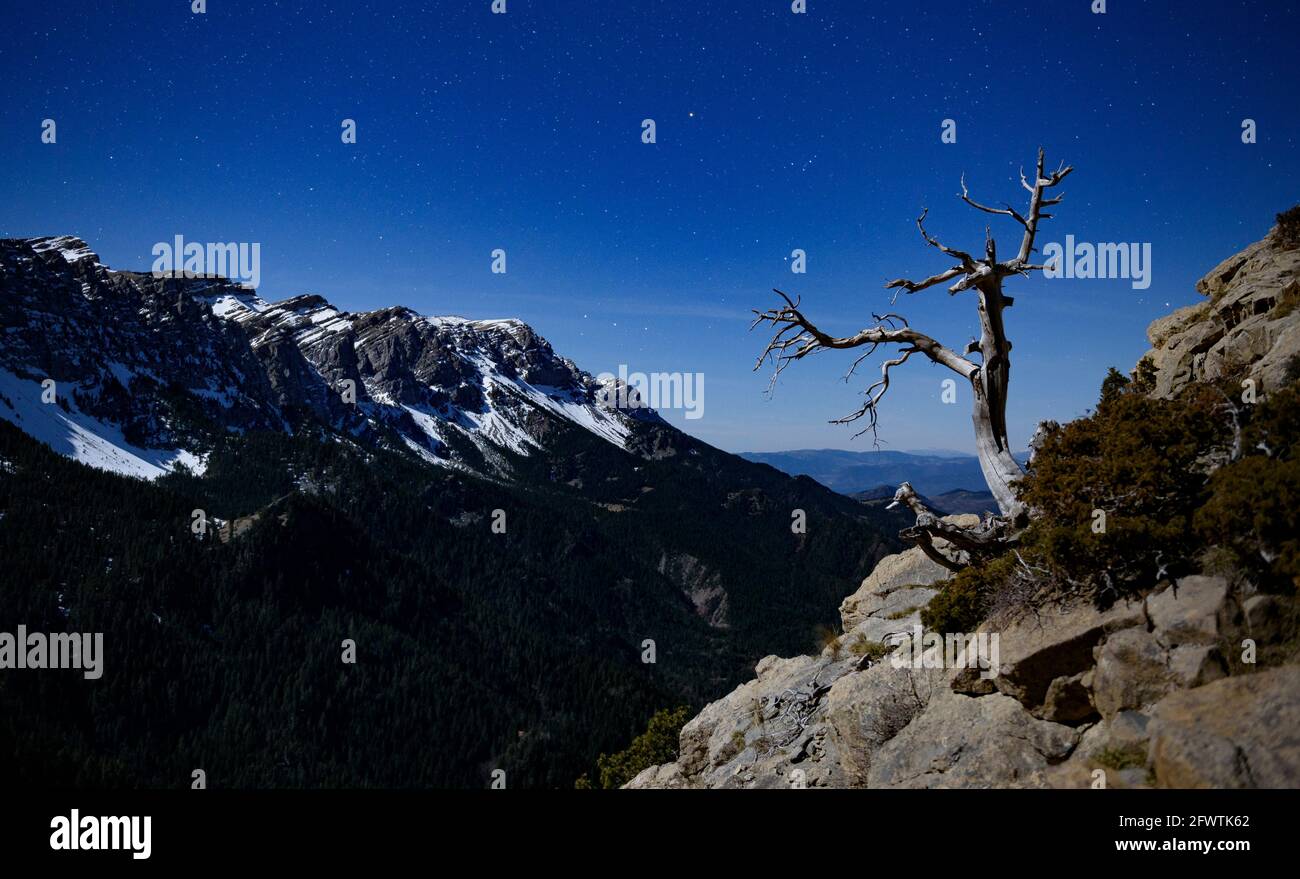 Full Moon night on the north face of the Serra de Cadí seen from the Prat d'Aguiló refuge (Cerdanya, Catalonia, Spain, Pyrenees) Stock Photo