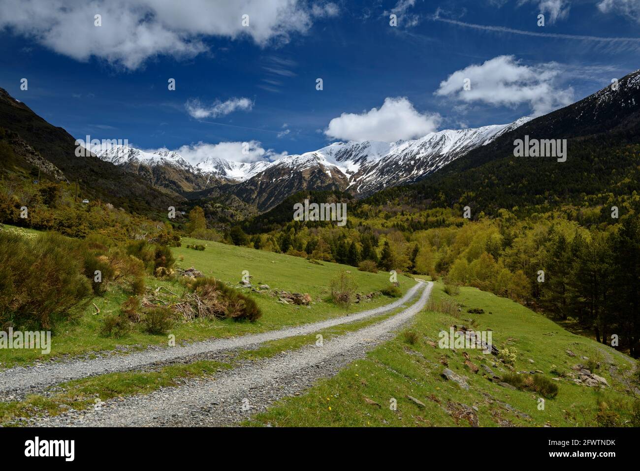 Porté-Puymorens Valley on the way to Passet lake and Lanós reservoir in  spring (Pyrenees-Orientales, Occitania, France Stock Photo - Alamy