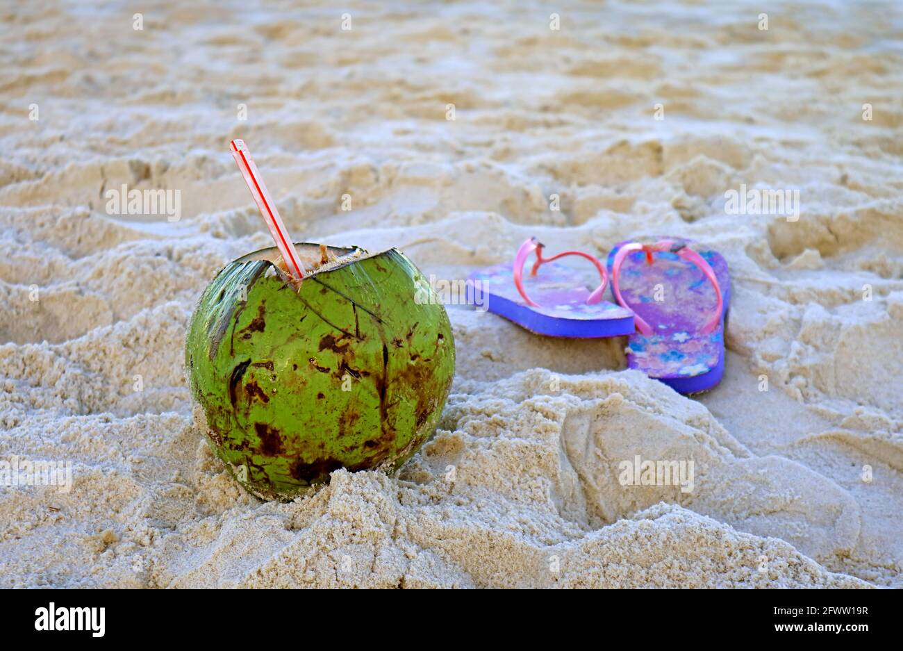 Unripe Coconut High Resolution Stock Photography And Images Alamy