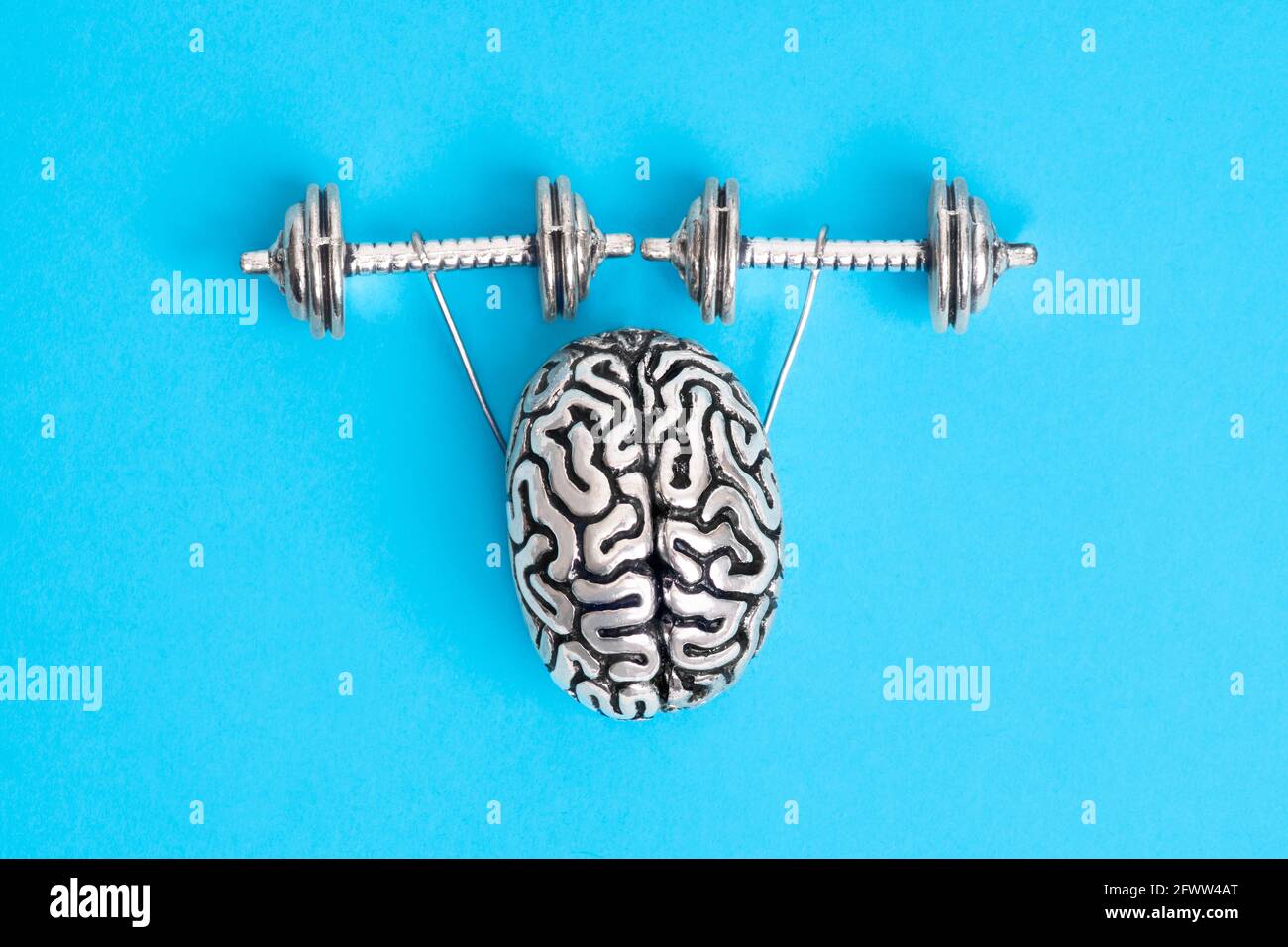 Steel copy of the human brain with hands lifting dumbbells. The concept of building a mind of steel. Stock Photo