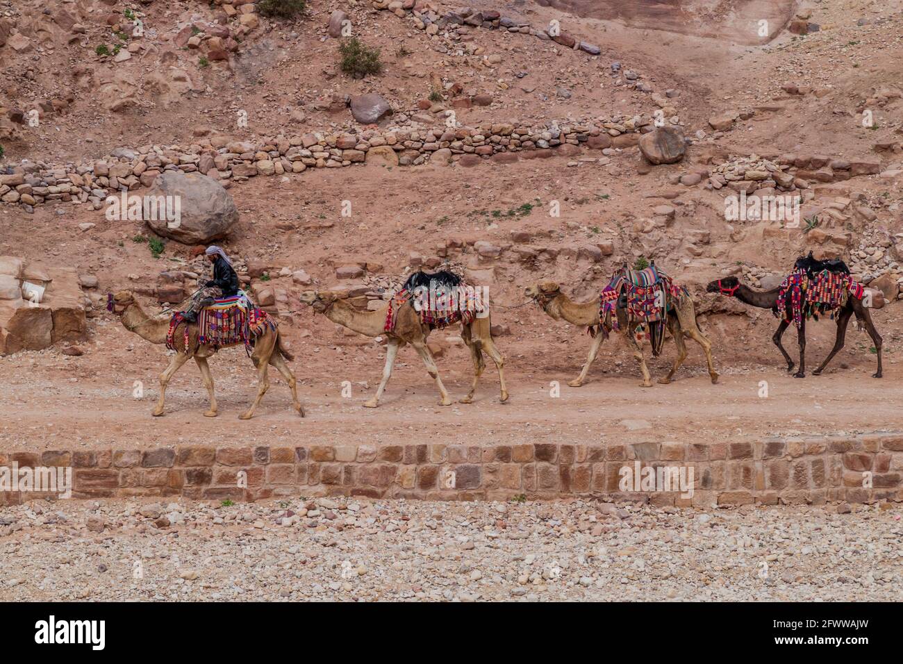 PETRA, JORDAN - MARCH 23, 2017: Local man rides a camel caravan in the ancient city Petra, Jordan Stock Photo