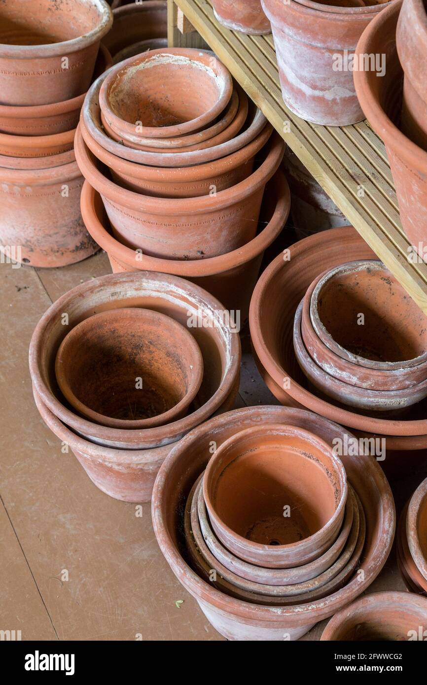 Traditional clay plant pots in greenhouse, England, UK Stock Photo