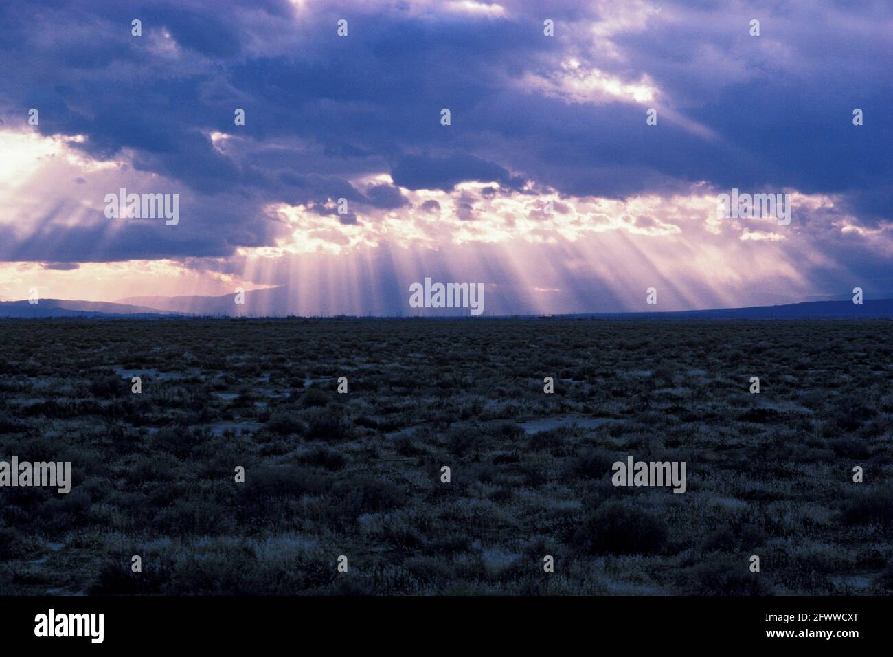 God rays in desert hi-res stock photography and images - Alamy