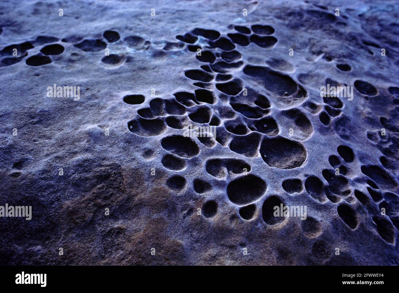 Marine fossil grand canyon, arizona hi-res stock photography and images ...