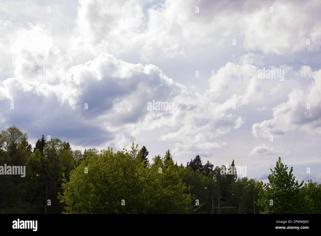 Blue sky background with clouds in sunlight and tree Stock Photo - Alamy