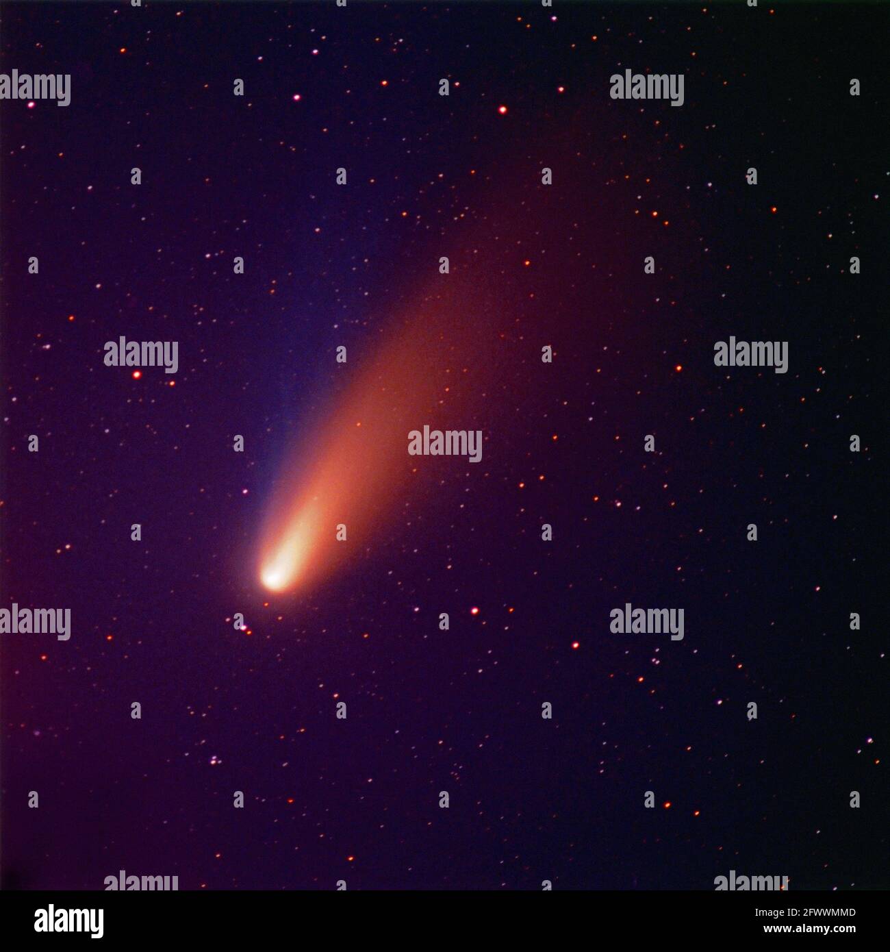Hale-Bopp Comet; 1996-97 Stock Photo
