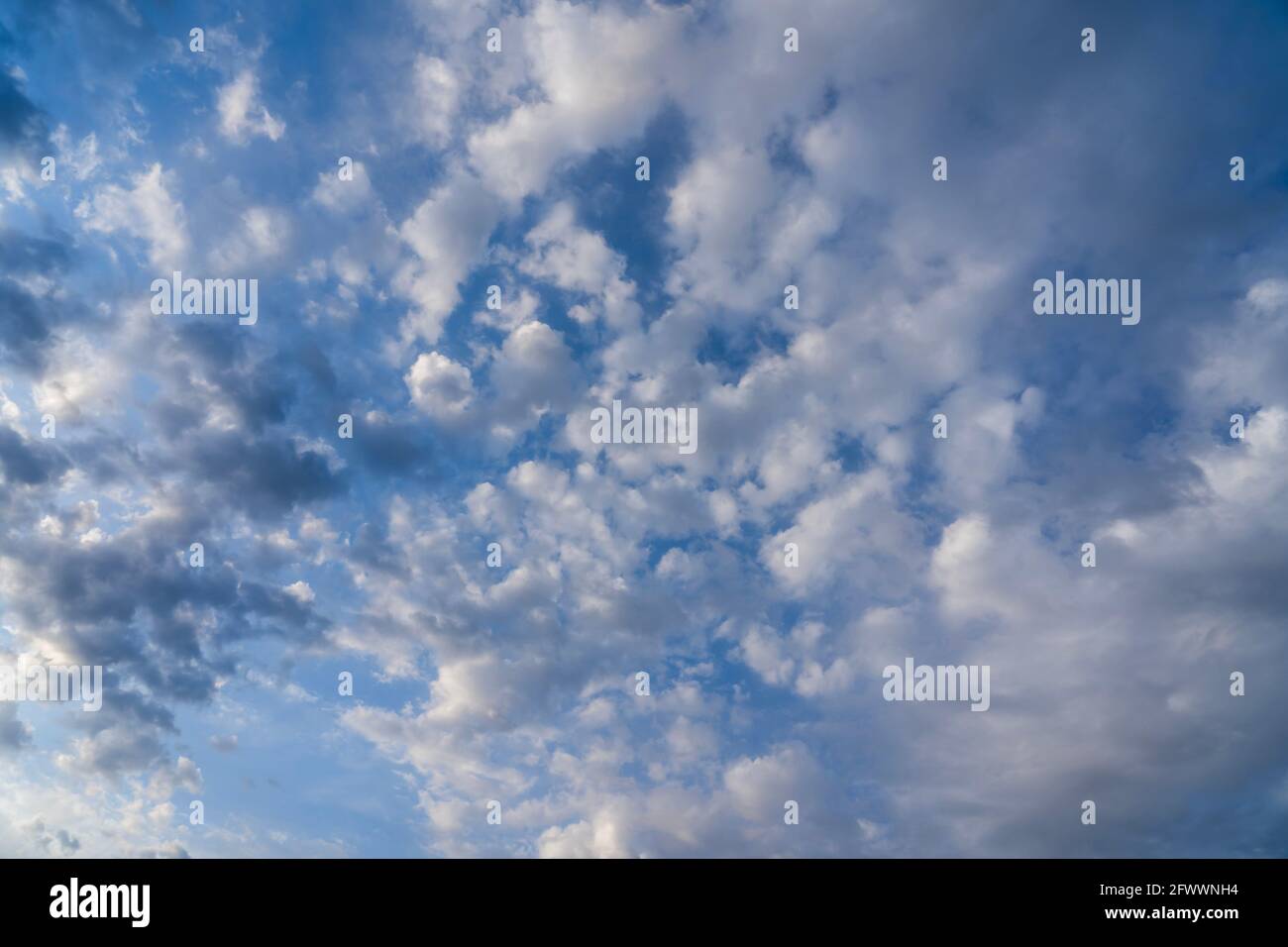 Beautiful clouds of different shapes in the sky before sunset Stock ...