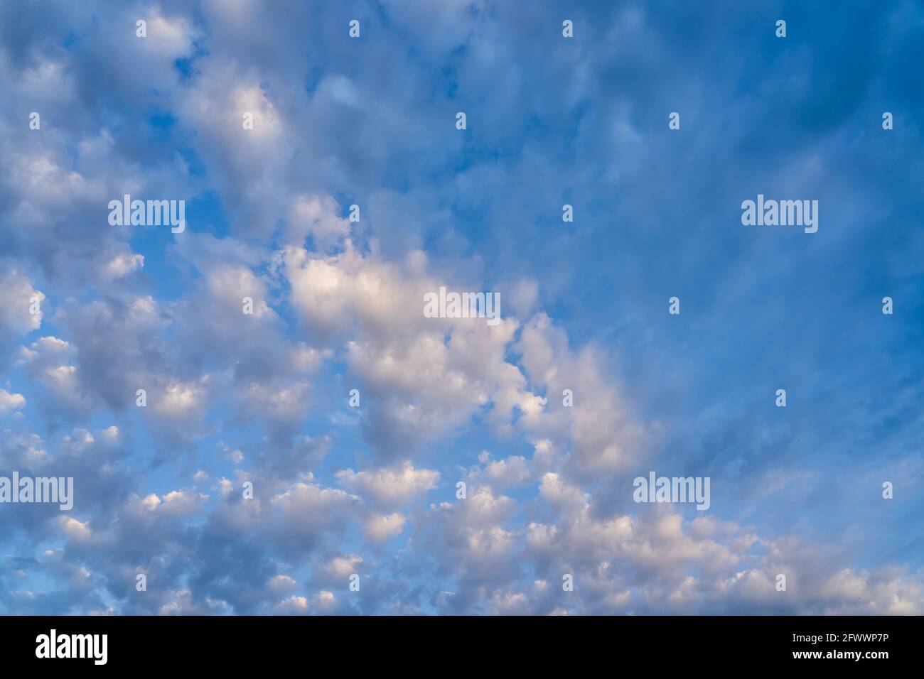 Beautiful clouds of different shapes in the sky before sunset Stock ...