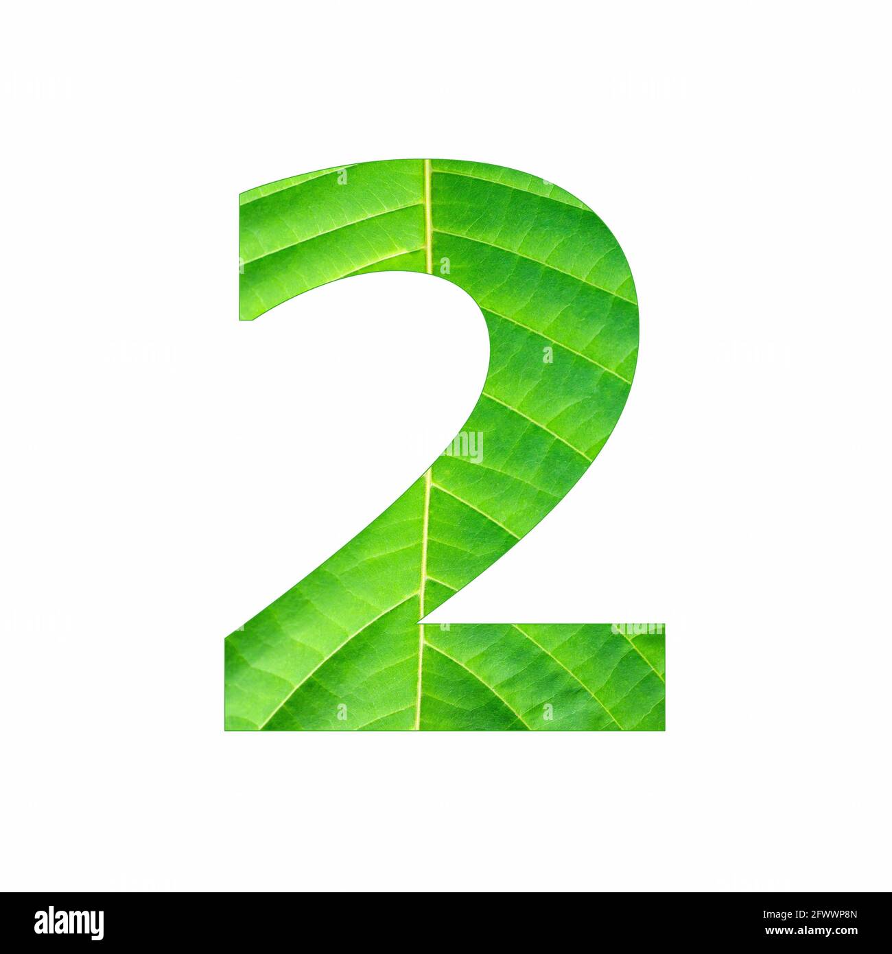 Number digit two - Tropical green leaf texture Stock Photo