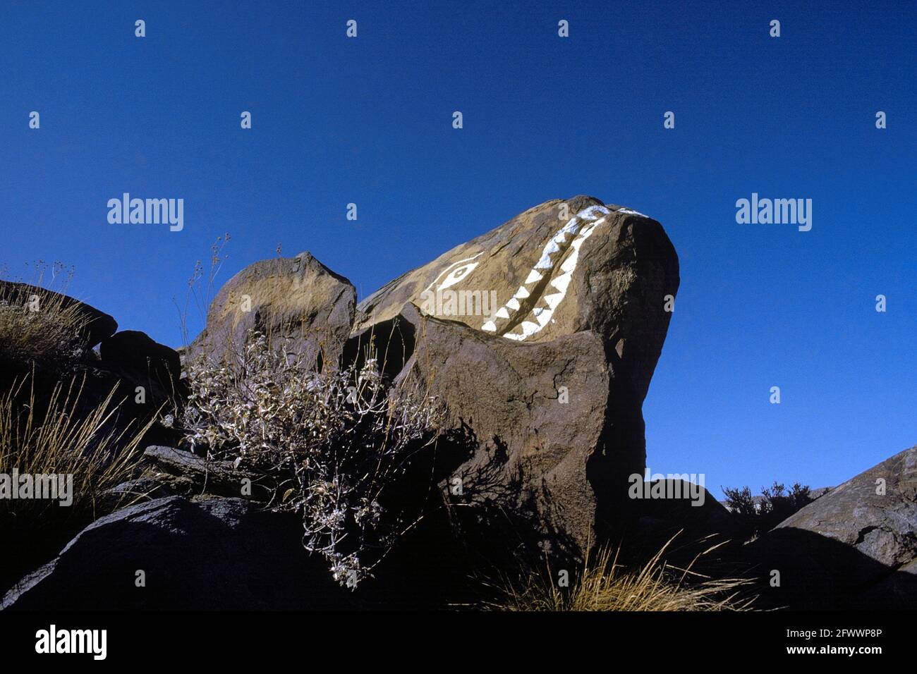 Sharp Teeth Graffiti Stock Photo Alamy