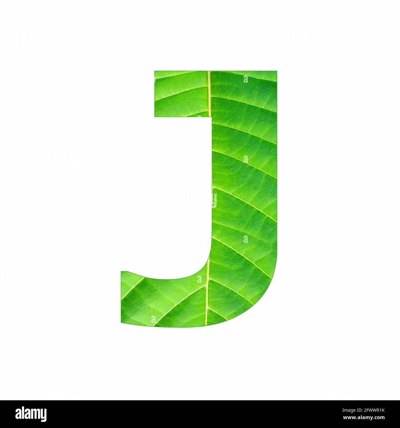 Uppercase Alphabet Letter J - Tropical green leaf texture Stock Photo