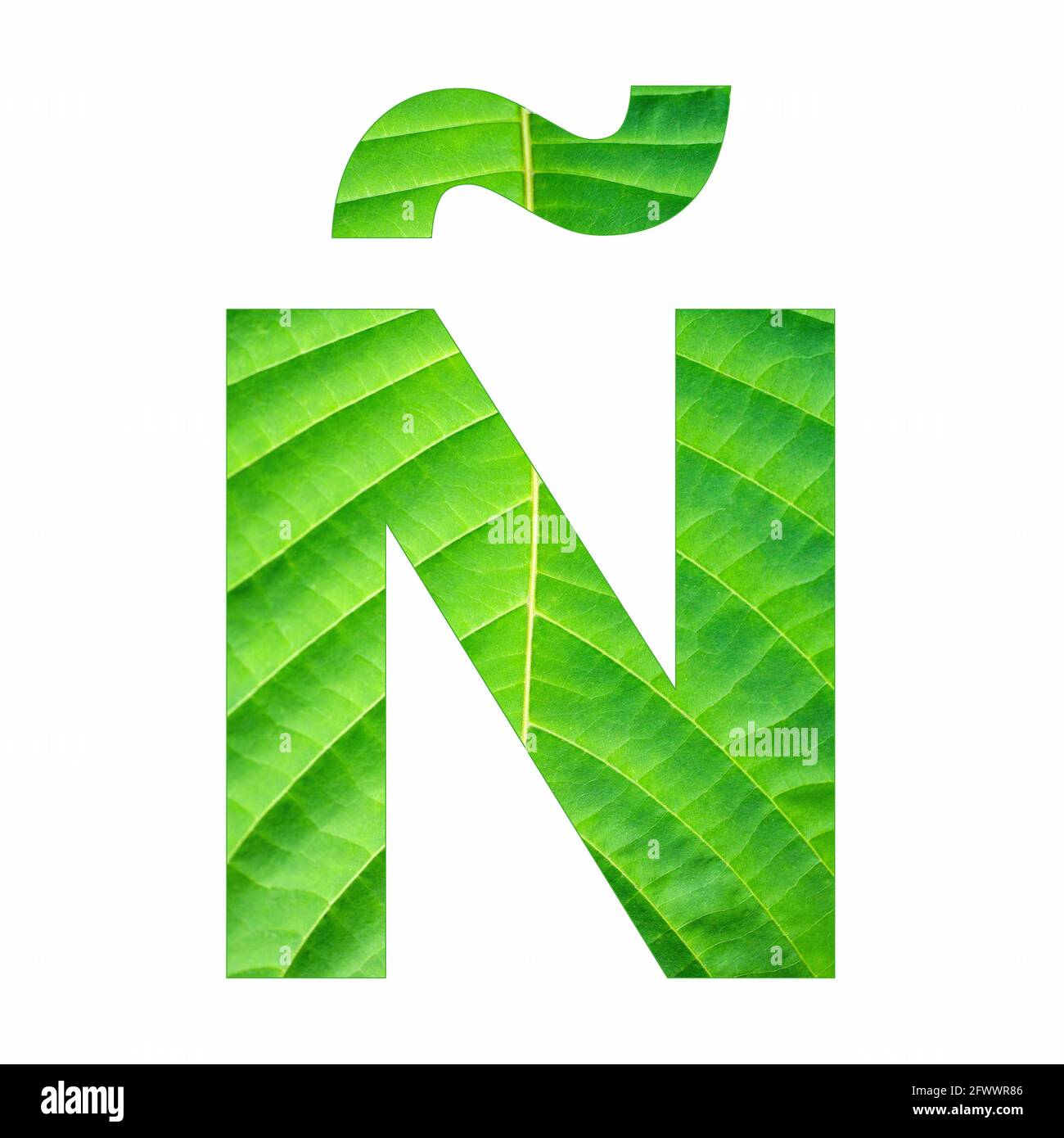 Alphabet Letter Ñ - Green leaf plant background Stock Photo