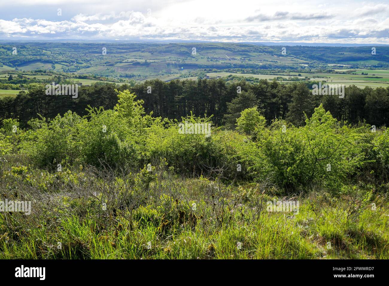 Stor mængde Calibre episode Mont de Sene, les 3 Croix, Burgundy, Bourgogne-Franche-Comté Region, France  Stock Photo - Alamy