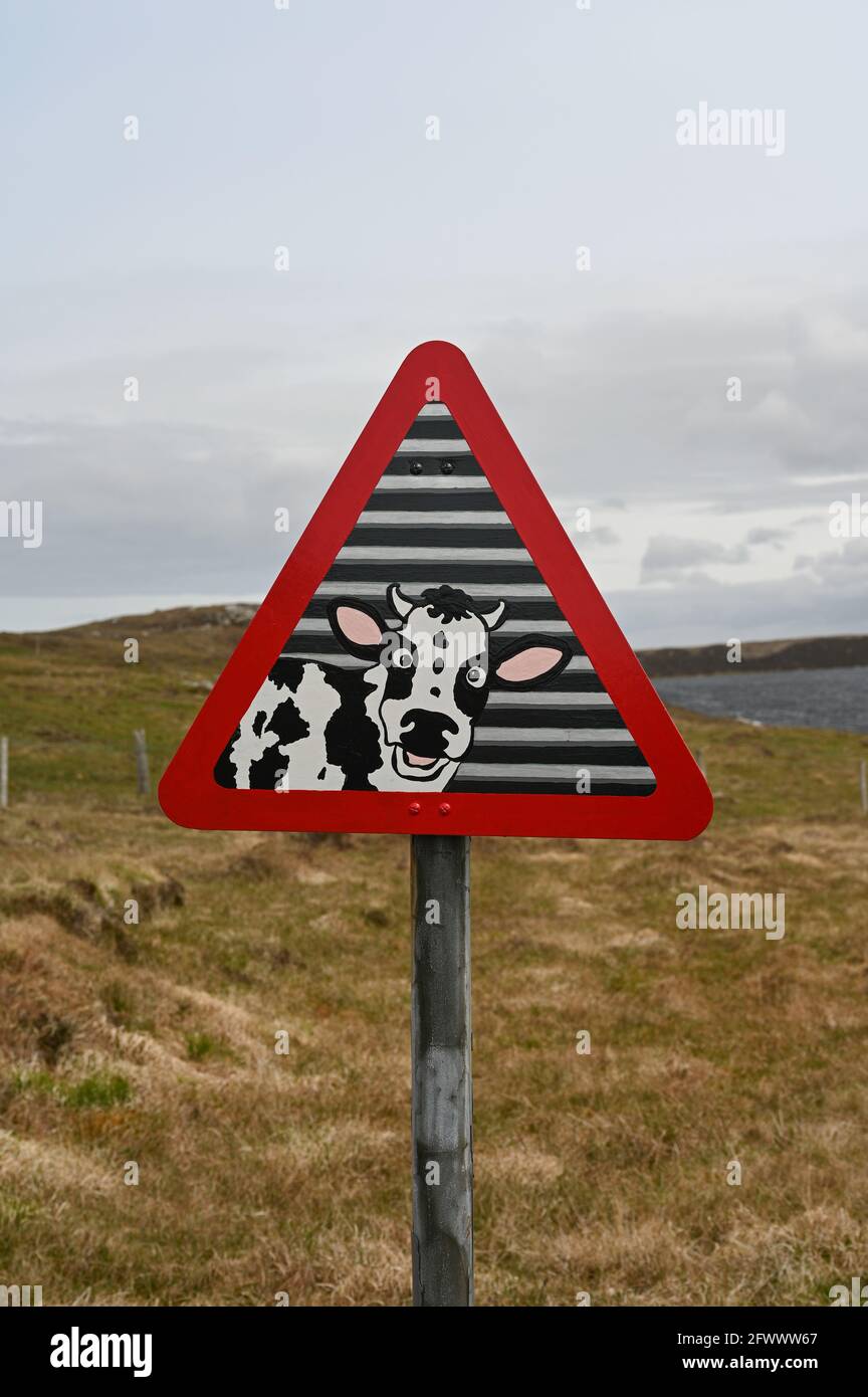 Funny road traffic sign which has been hand painted to show a startled cow inside the normal red warning triangle sign format. Isle of Lewis. Stock Photo