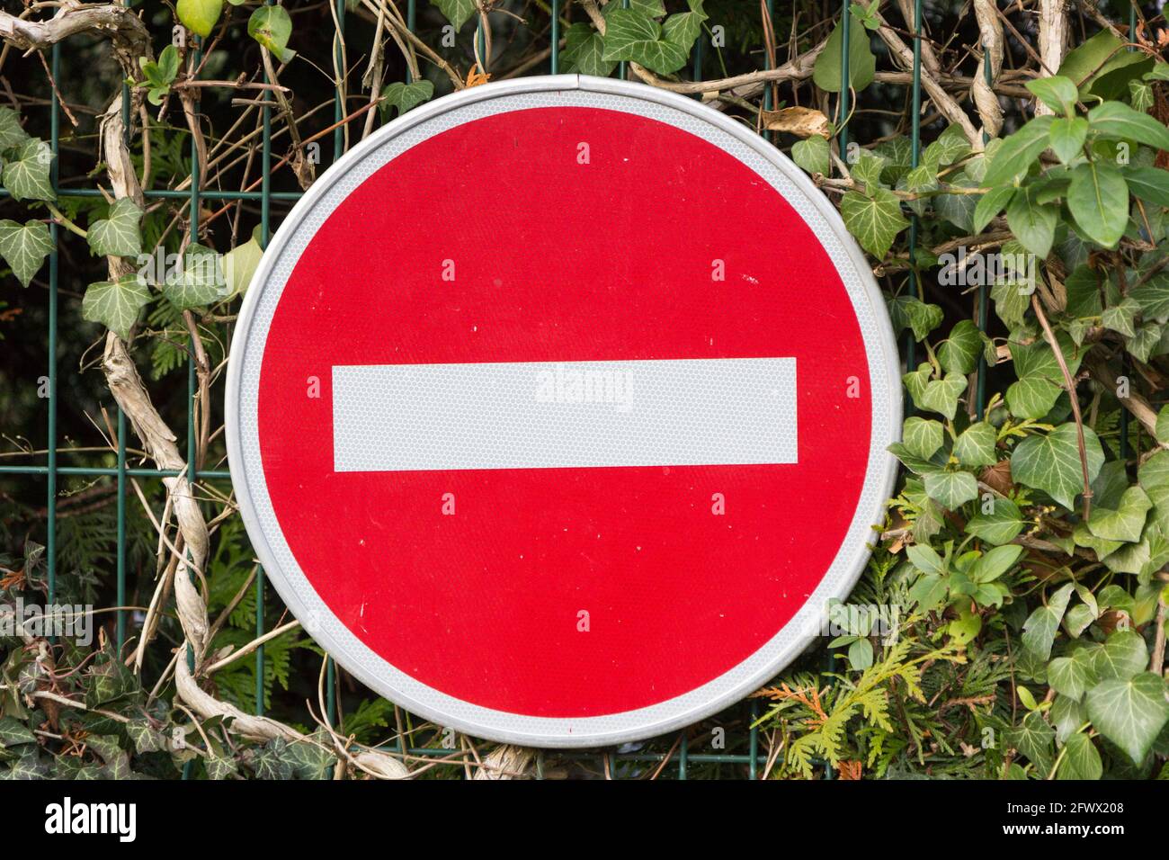 No entry sign on a hedge Stock Photo