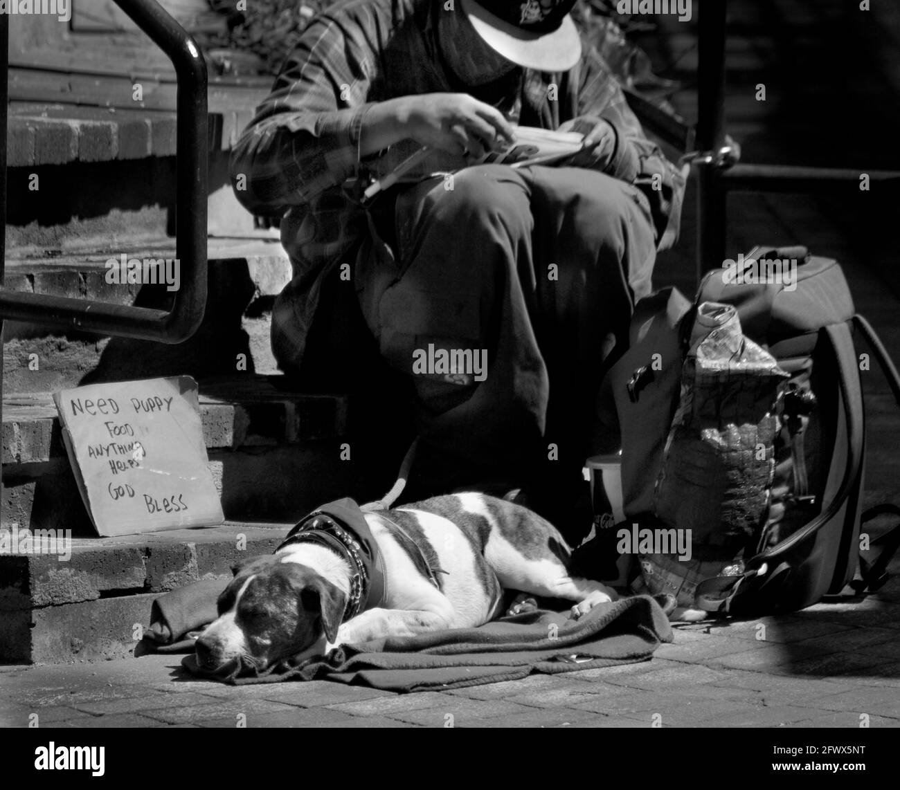 A homeless man with a dog sits beside a sidewalk in Santa Fe, New Mexico, with a sign asking for money to buy dog food. Stock Photo