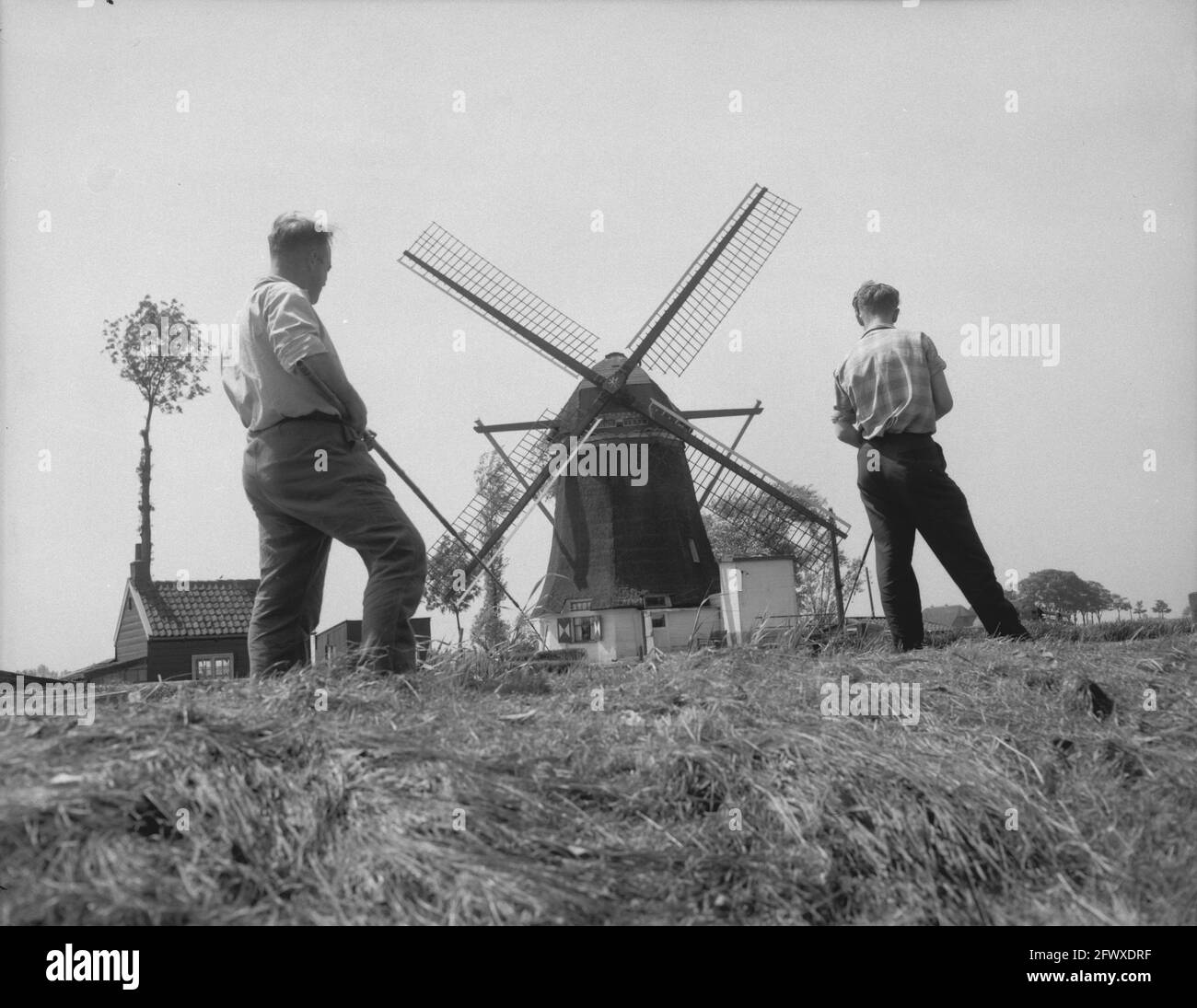 Opening of the fishing season, 1 June 1958, The Netherlands, 20th century press agency photo, news to remember, documentary, historic photography 1945 Stock Photo