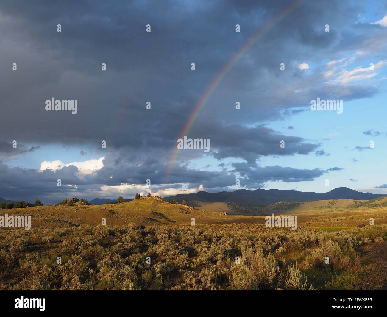 Double Rainbow against a Yellowstone National Park Landscape. Stock Photo