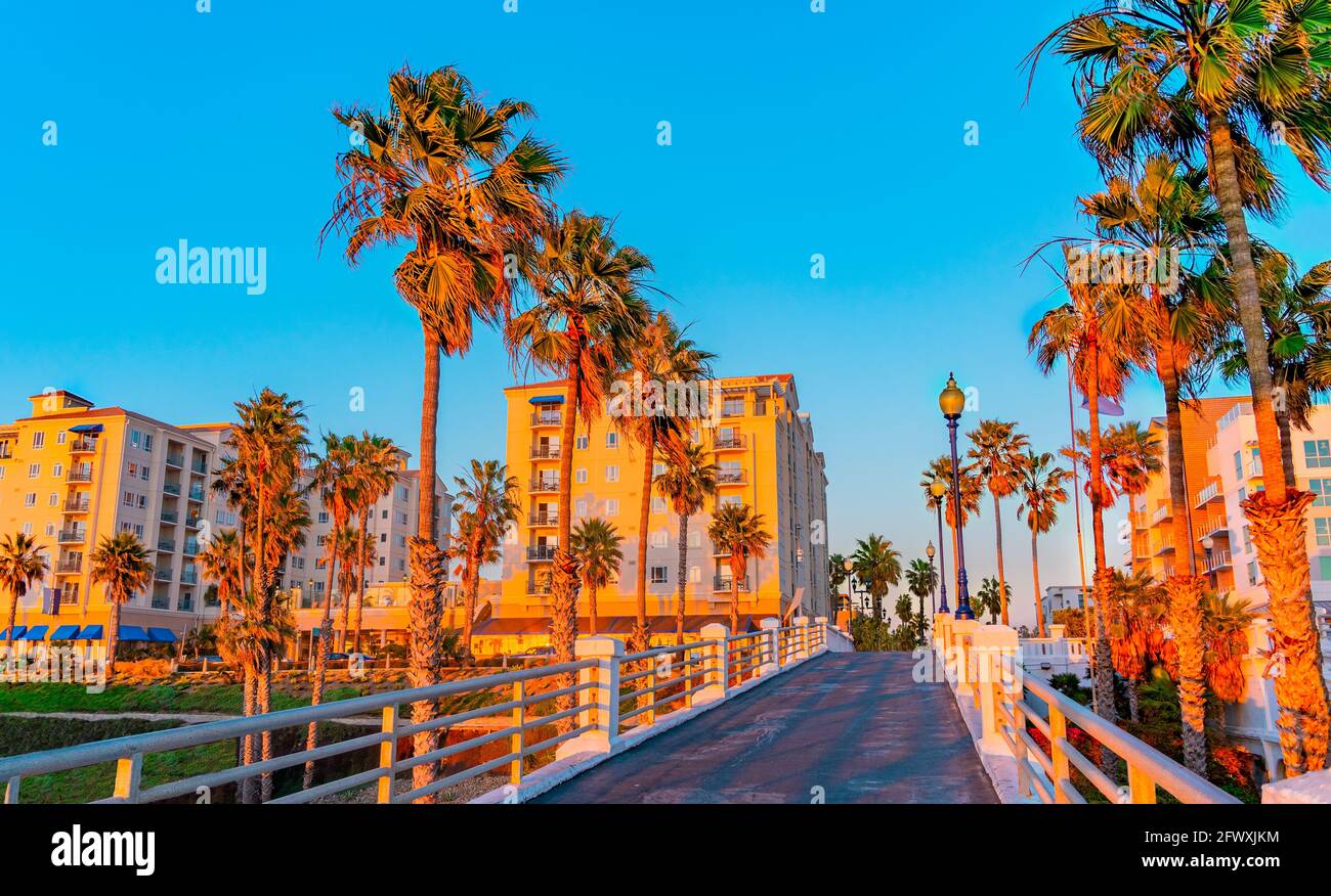 Palm trees  in dusk light flank the Oceanside Pier's walkway as it leads to the downtown area with it's high rise buildings in Oceanside, California Stock Photo