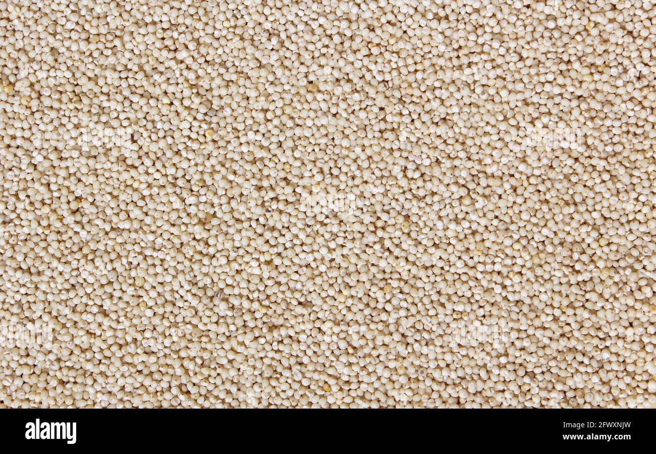 Bowl of Uncooked Millet with leaf on bamboo mat Stock Photo Alamy