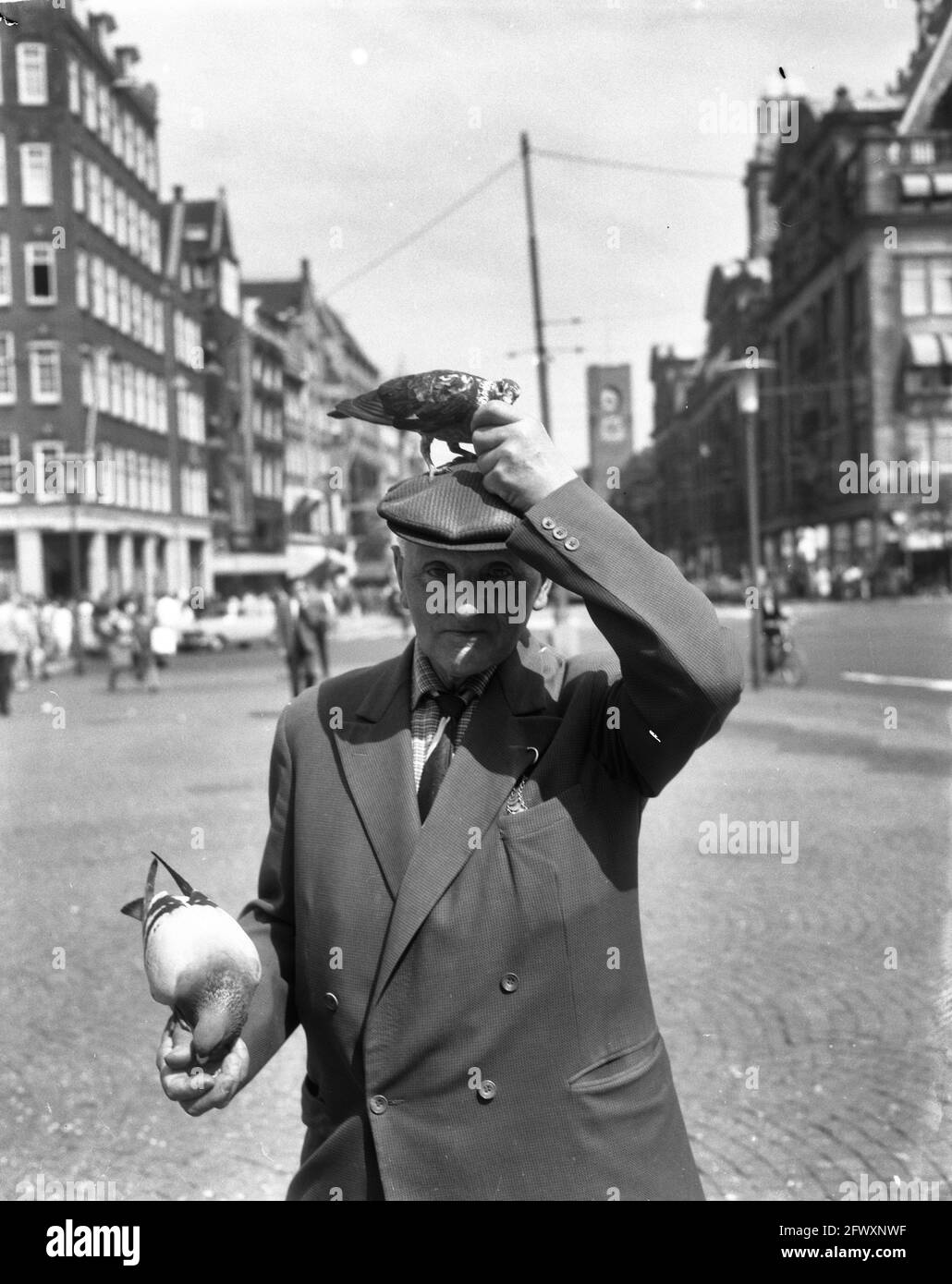 Old man with pigeon on head and hand, August 19, 1965, pigeons, men, elderly, The Netherlands, 20th century press agency photo, news to remember, docu Stock Photo