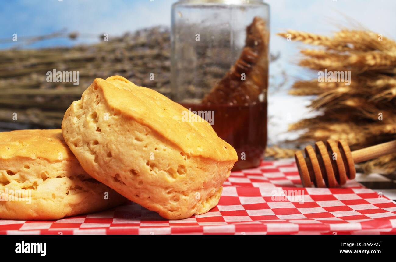 Honey and Wheat Biscuits Close up Stock Photo