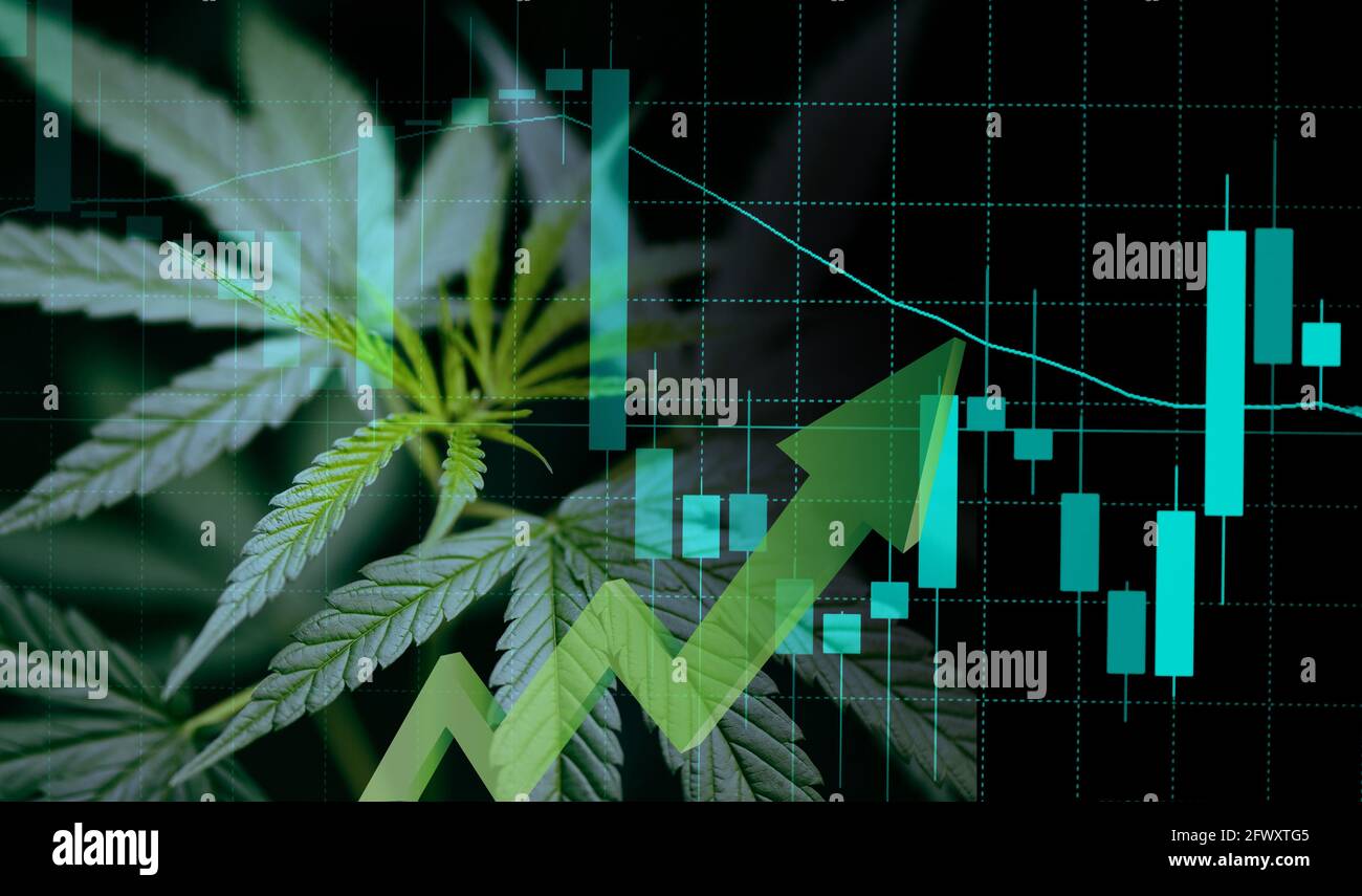 Drug chart marijuana hi-res stock photography and images - Alamy