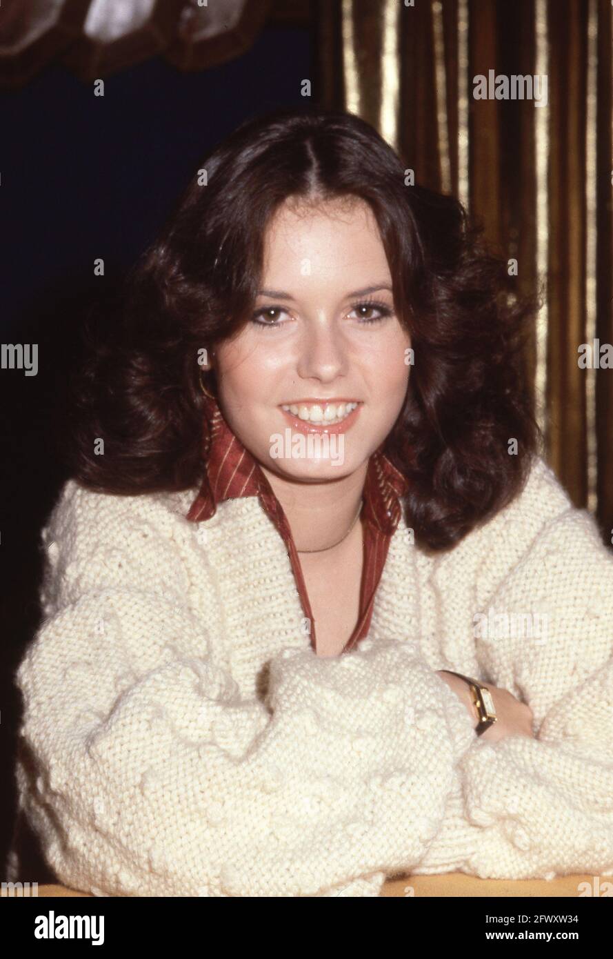 Tracey E. Bregman Circa 1980's Credit: Ralph Dominguez/MediaPunch Stock  Photo - Alamy, image size:889x1390