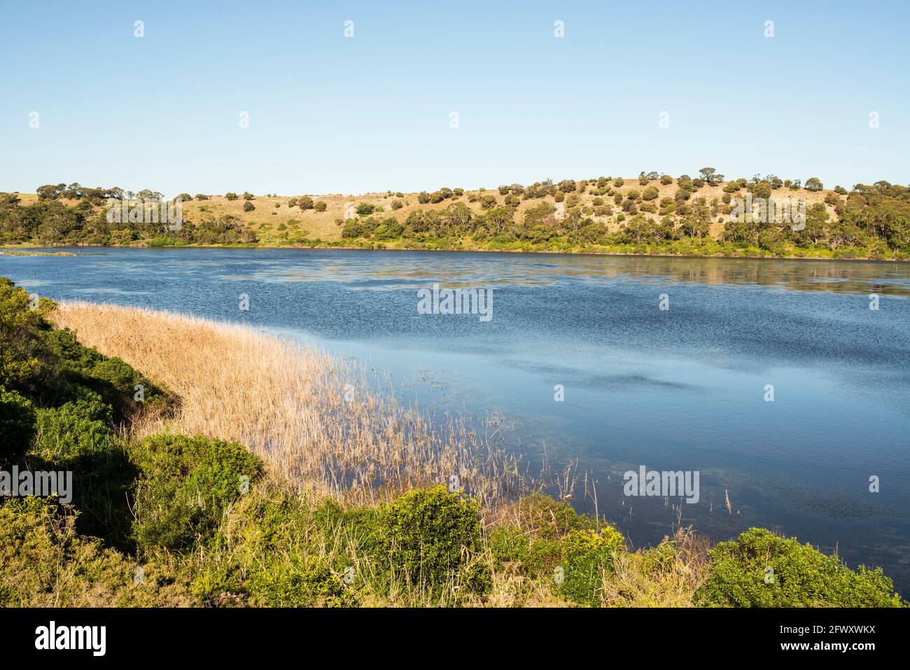 West Lake, Tower Hill, Victoria Stock Photo