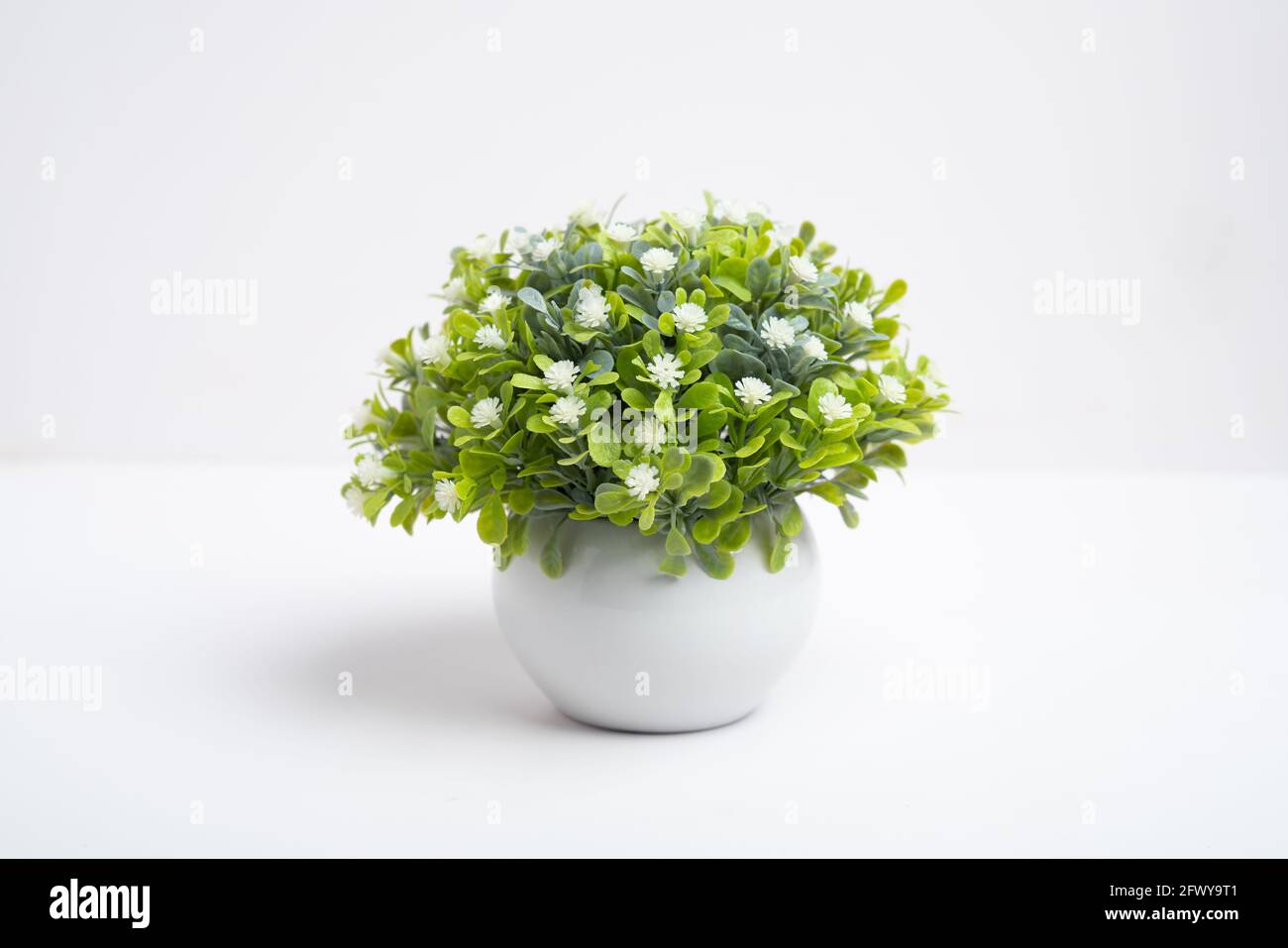 Plastic flower in a vase for decoration on white background, fake flower Stock Photo