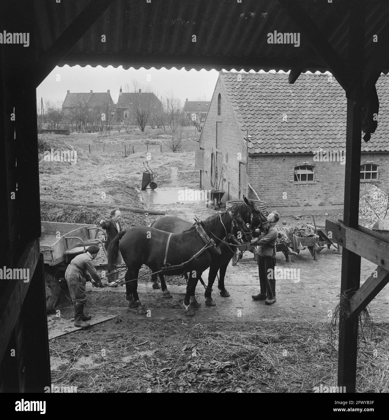 Watershed recovery Rozenburg, February 23, 1953, The Netherlands, 20th century press agency photo, news to remember, documentary, historic photography Stock Photo