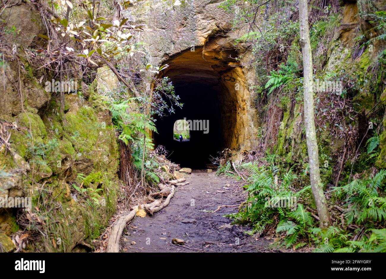 View into disused tramway tunnel on Box Vale walking track Mittagong NSW Australia.tif Stock Photo