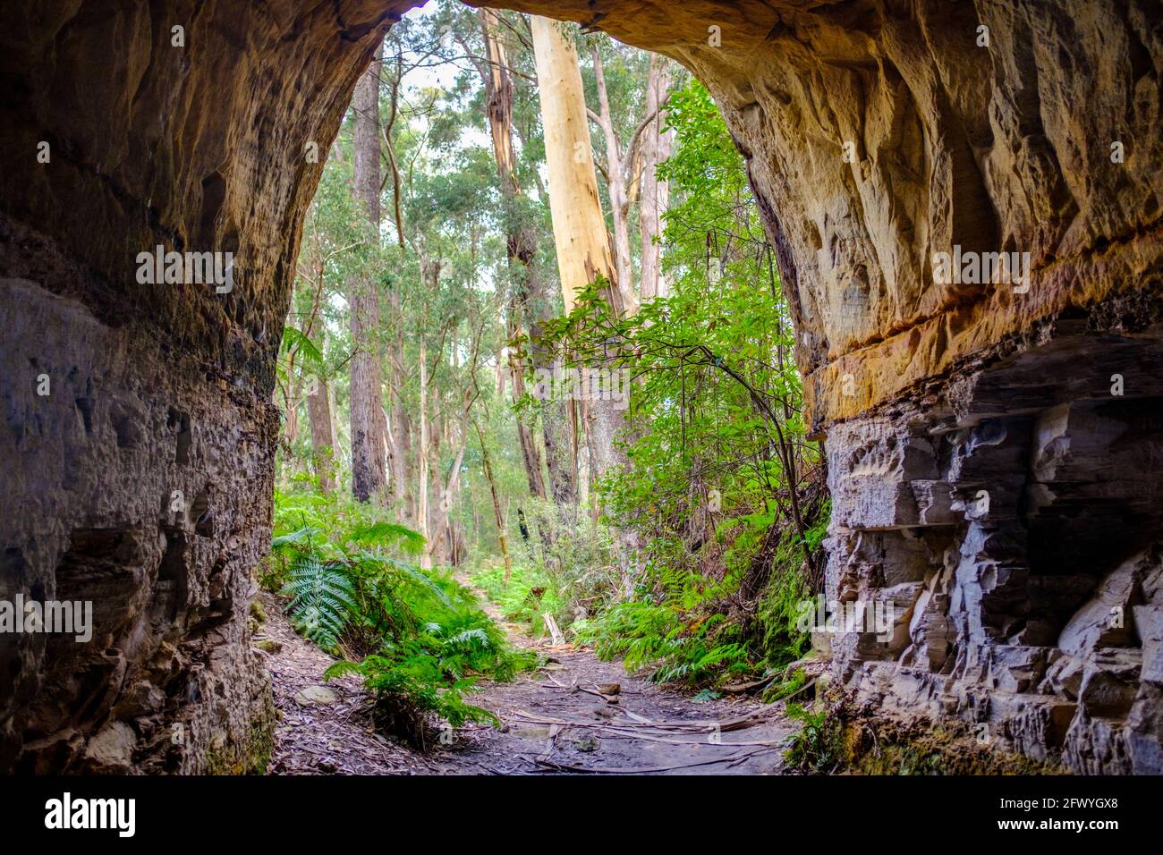 View out of disused tramway tunnel on Box Vale walking track Mittagong NSW Australia Stock Photo