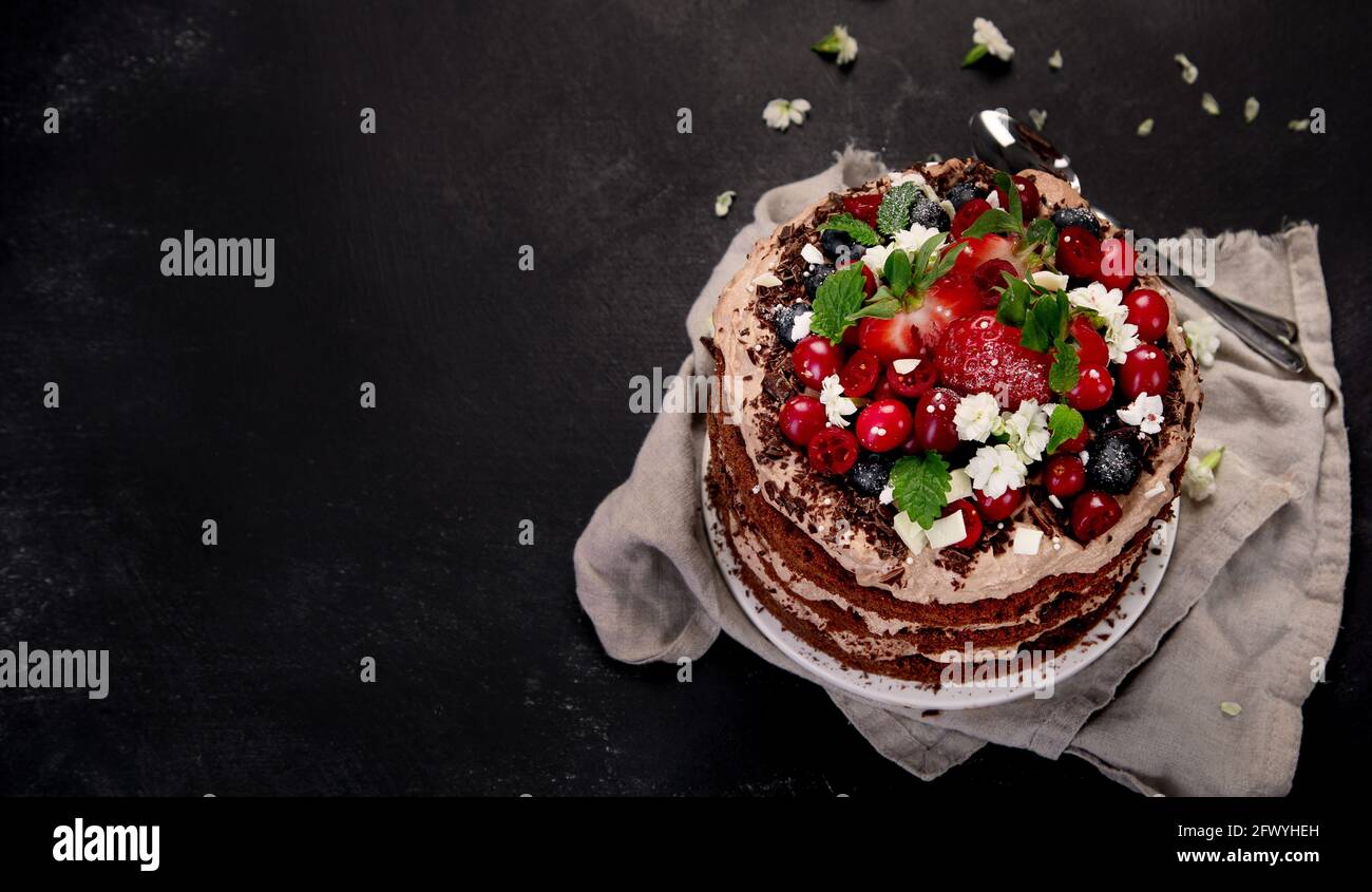 Delicious homemade chocolate cake with fresh berries and mascarpone cream on dark background. Copy space Stock Photo