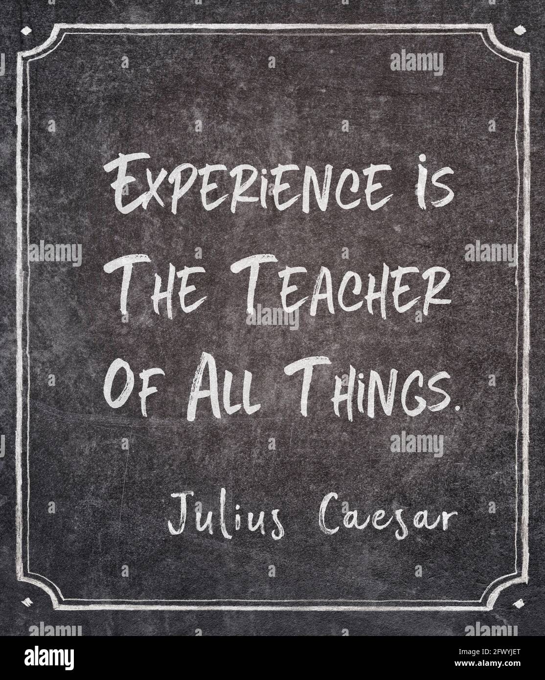 Experience is the teacher of all things ancient Roman politician and