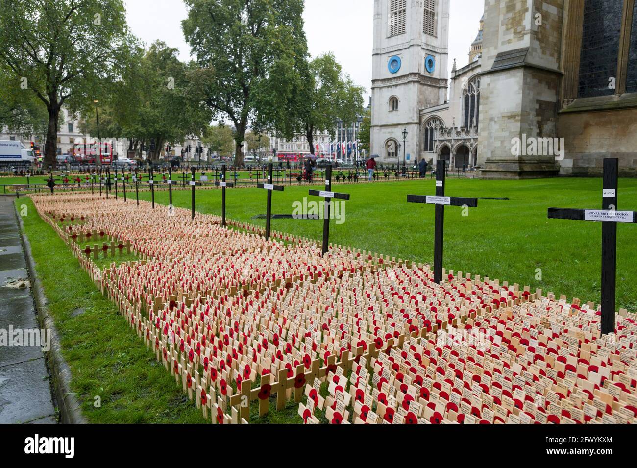 Some of the 1000,00 crosses which make annual The Field of Remembrance at Westminster Abbey. The Feild is laid out by The Poppy Factory. The Poppy Fac Stock Photo