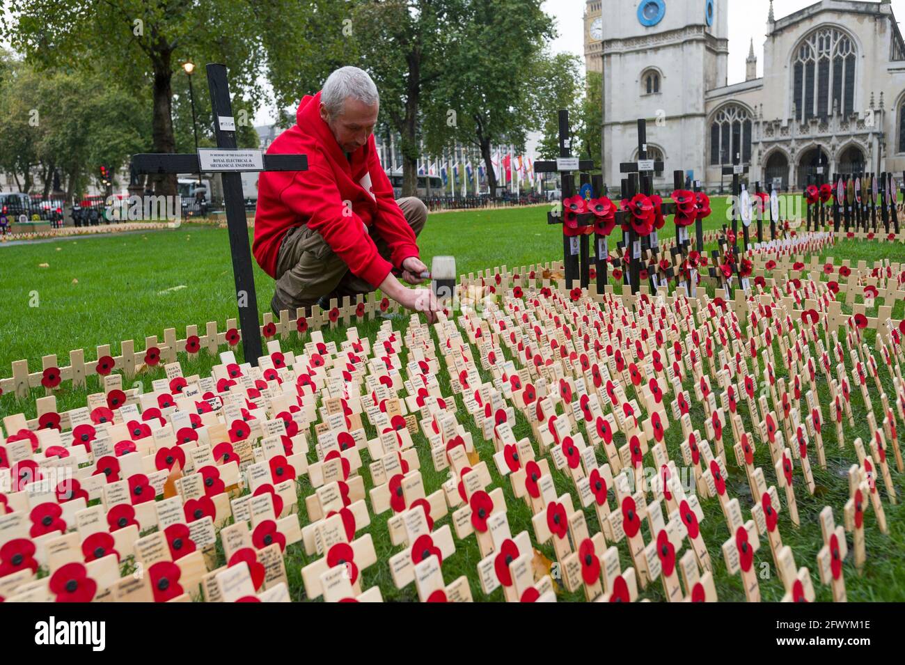 Chris McVeigh a worker at The Poppy Factory laying out some 100,000 crosses which make up annual The Field of Remembrance at Westminster Abbey. The Po Stock Photo