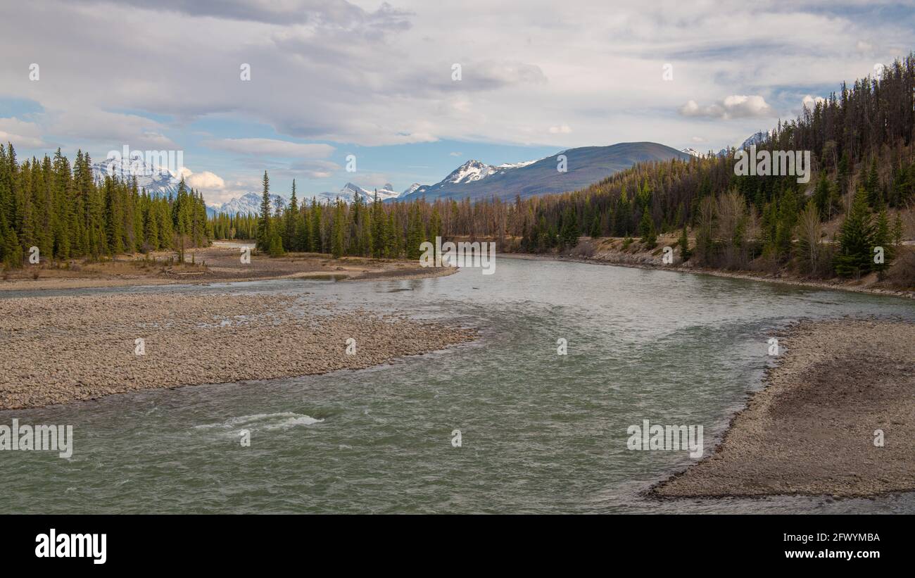 Athabasca River, Jasper, Alberta, Canada Stock Photo